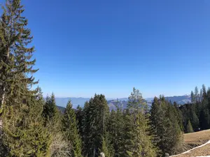 blauerhimmel.jpg